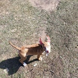 Meet your Posher, Kiana